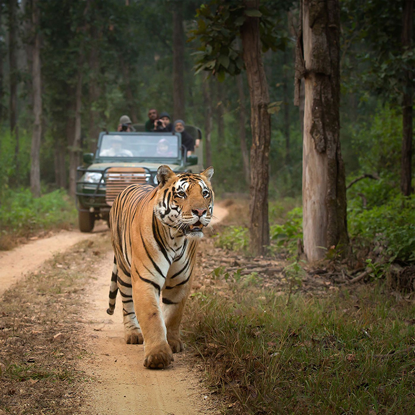 Kanha Tiger Reserve