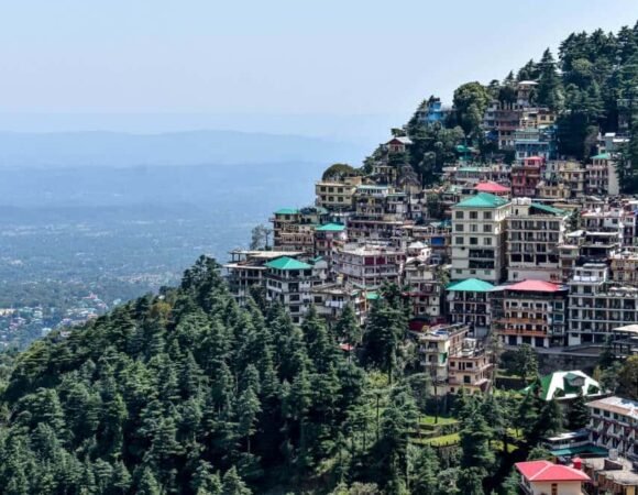 Which Company is Best for Travel Agency? – Why Travelaajkal is the Top Choice